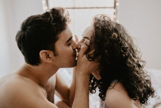 INTRODUCIR LOS JUGUETES SEXUALES EN EL DORMITORIO