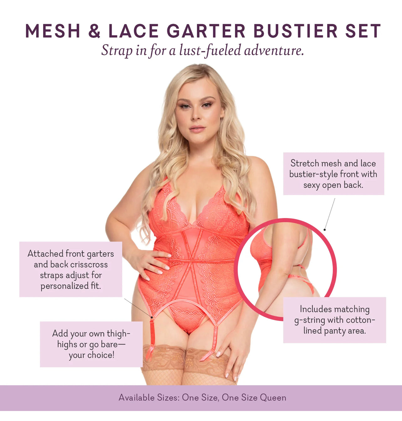 Mesh & Lace Garter Bustier Set