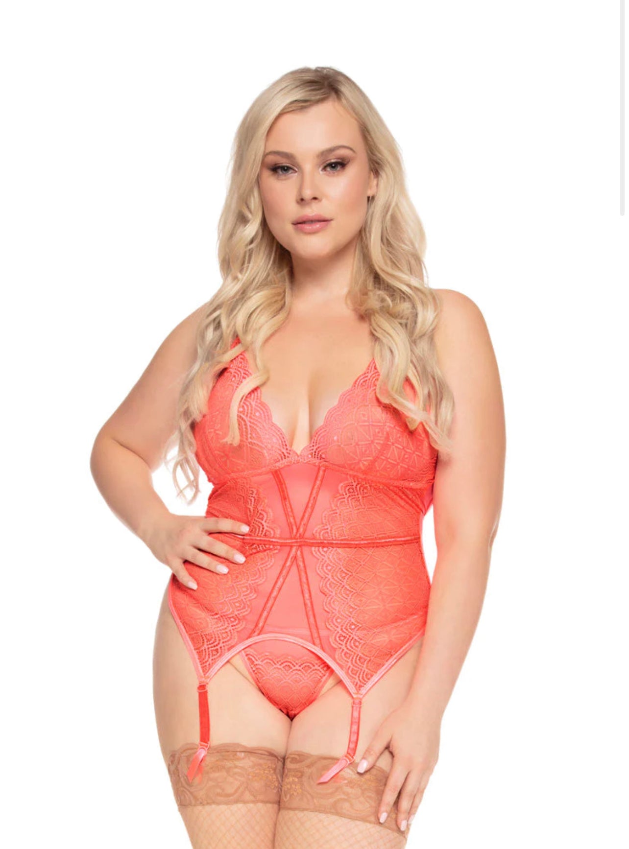 Mesh & Lace Garter Bustier Set